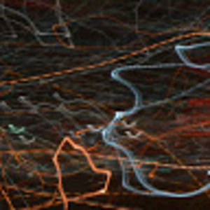 Meet your Posher, Harrison